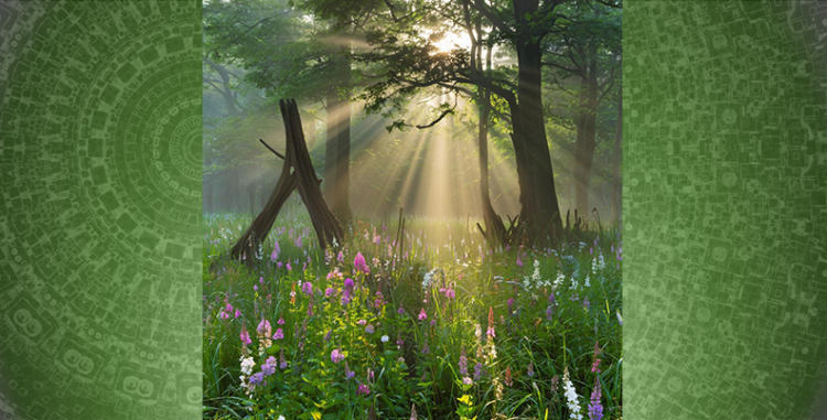 Памятка для Клиента. Противопоказания к процедуре Гирудотерапия