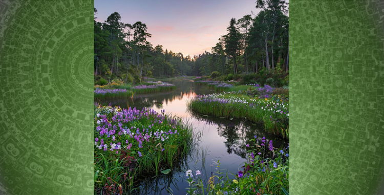 Памятка для Клиента. Уход за кожей после процедуры Гирудотерапии