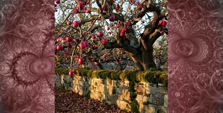Памятка для Клиента. Противопоказания к процедуре Хиджама