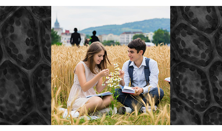 Остеопатические техники. (Проверочный ТЕСТ с ответами)