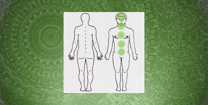 Гирудоинформационная терапия