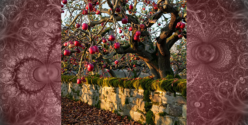 Памятка для Клиента. Противопоказания к процедуре Хиджама