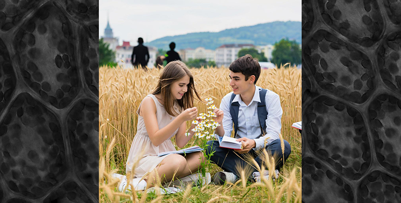 Остеопатические техники. (Проверочный ТЕСТ с ответами)