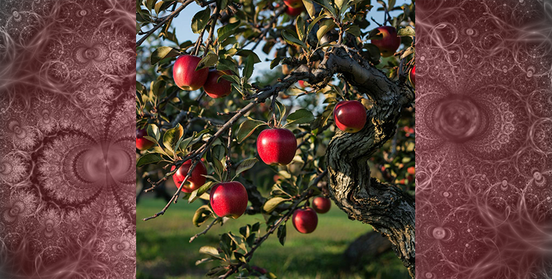 Памятка для Клиента. Подготовка к процедуре Хиджама.