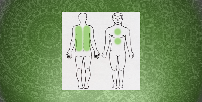 Иммуностимулирующая гирудотерапия