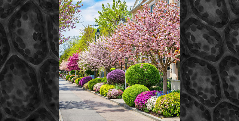 Аллергия (Симптоматика заболеваний)