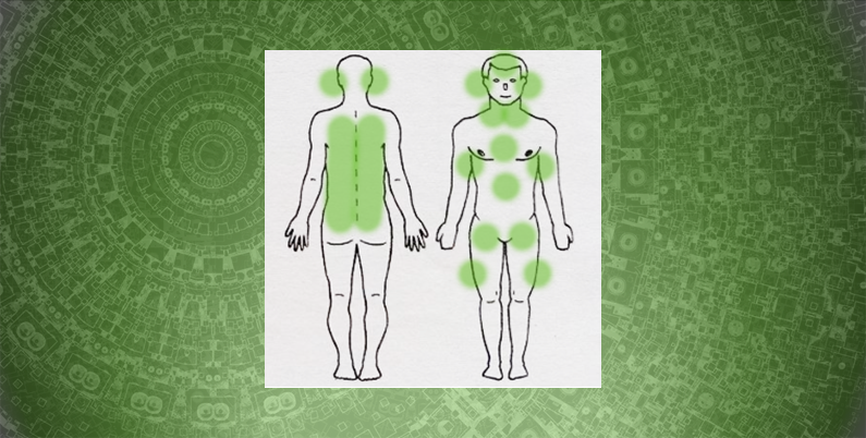 Стабилизация уровня лизоцима