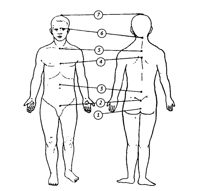 Семь чакр человека.